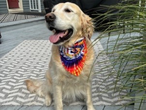 Tom with bandana